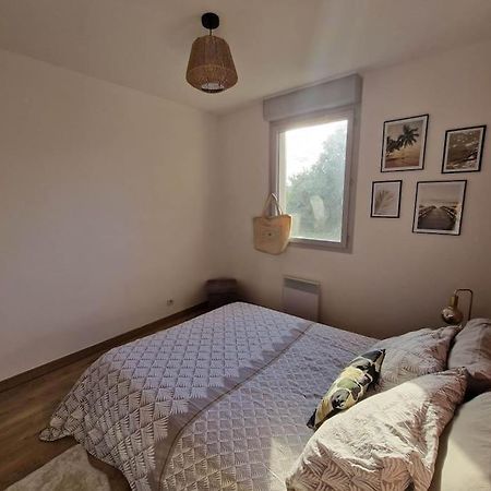 Appartement Cosy Oloron, Aux Pieds Des Pyrenees Et De L'Atlantique! Exteriör bild