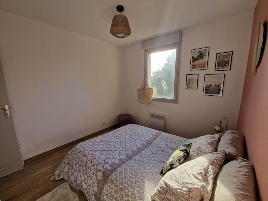 Appartement Cosy Oloron, Aux Pieds Des Pyrenees Et De L'Atlantique! Exteriör bild